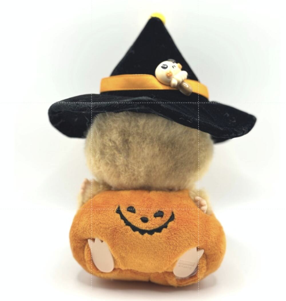 Labubu Halloween Pumpkin/Witch Costume The Monsters - Costume Only, New